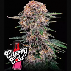 Cherry Cola Auto - FastBuds